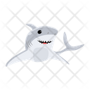 پیش‌نمایش فایل shark-fish-8599922 از پک کوسه