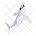 پیش‌نمایش فایل shark-fish-8599928 از پک کوسه