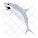 پیش‌نمایش فایل white-shark-8599898 از پک کوسه