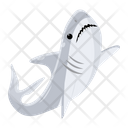 پیش‌نمایش فایل white-shark-8599905 از پک کوسه