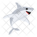 پیش‌نمایش فایل white-shark-8599917 از پک کوسه