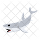 پیش‌نمایش فایل white-shark-8599935 از پک کوسه