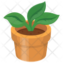 پیش‌نمایش فایل plant-pot-22 از پک آیکون‌های بازی