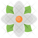 پیش‌نمایش فایل flower-1522 از پک ماساژ و اسپا