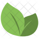 پیش‌نمایش فایل fresh-leaves از پک ماساژ و اسپا
