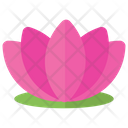 پیش‌نمایش فایل lotus-96 از پک ماساژ و اسپا