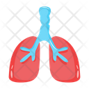 پیش‌نمایش فایل human-lungs-8893921 از پک پزشکی