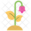 پیش‌نمایش فایل lotus-bud-2 از پک گرمایش جهانی