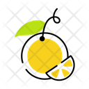 پیش‌نمایش فایل orange-fruit-9055240 از پک غذا