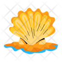 پیش‌نمایش فایل beach-shell-9251681 از پک تابستان