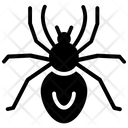 پیش‌نمایش فایل black-spider از پک حشرات