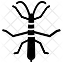 پیش‌نمایش فایل bug-stick از پک حشرات