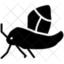 پیش‌نمایش فایل moth-27 از پک حشرات