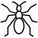 پیش‌نمایش فایل ant-69 از پک حشرات