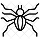 پیش‌نمایش فایل cellar-spider-1 از پک حشرات