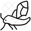 پیش‌نمایش فایل moth-29 از پک حشرات