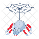 پیش‌نمایش فایل halloween-spider-9312697 از پک هالووین