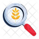 پیش‌نمایش فایل magnify-wheat-9654314 از پک کشاورزی