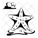 پیش‌نمایش فایل starfish-10117494 از پک گرمسیری