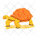 پیش‌نمایش فایل desert-turtle-10131288 از پک بیابان