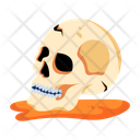 پیش‌نمایش فایل human-skull-10131274 از پک بیابان