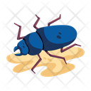 پیش‌نمایش فایل sand-beetle-10131265 از پک بیابان