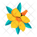 پیش‌نمایش فایل allamanda-cathartica-10117602 از پک گرمسیری
