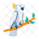 پیش‌نمایش فایل cockatoo-10117575 از پک گرمسیری