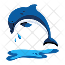 پیش‌نمایش فایل dolphin-10117569 از پک گرمسیری