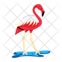 پیش‌نمایش فایل flamingo-10117583 از پک گرمسیری