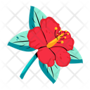 پیش‌نمایش فایل hibiscus-flower-10117549 از پک گرمسیری