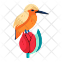 پیش‌نمایش فایل kingfisher-bird-10117433 از پک گرمسیری