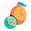 پیش‌نمایش فایل kiwi-fruit-10117571 از پک گرمسیری