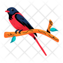 پیش‌نمایش فایل minivet-10117429 از پک گرمسیری