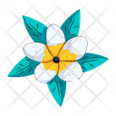 پیش‌نمایش فایل plumeria-flower-10117550 از پک گرمسیری