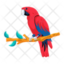 پیش‌نمایش فایل scarlet-macaw-10117566 از پک گرمسیری