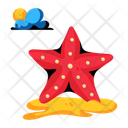 پیش‌نمایش فایل starfish-10117570 از پک گرمسیری