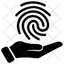 پیش‌نمایش فایل authentic-data از پک میزبانی وب