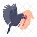 پیش‌نمایش فایل crow-bite-10169262 از پک وحشت و جادوگر