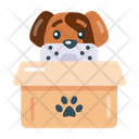 پیش‌نمایش فایل dog-box-10276792 از پک دامپزشکی