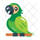 پیش‌نمایش فایل parrot-10276826 از پک دامپزشکی