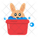 پیش‌نمایش فایل rabbit-bath-10276816 از پک دامپزشکی