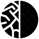 پیش‌نمایش فایل skin-comparison-2 از پک پوست