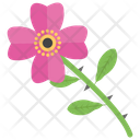 پیش‌نمایش فایل flower-1631 از پک باغبانی ۲