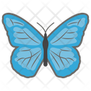 پیش‌نمایش فایل butterfly-528 از پک باغبانی ۱