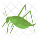 پیش‌نمایش فایل grasshopper-36 از پک باغبانی ۱