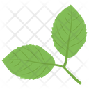 پیش‌نمایش فایل leaves-204 از پک باغبانی ۱