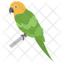 پیش‌نمایش فایل parrot-61 از پک باغبانی ۱