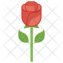 پیش‌نمایش فایل rose-262 از پک باغبانی ۱