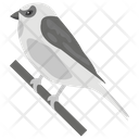 پیش‌نمایش فایل sparrow-165 از پک باغبانی ۱